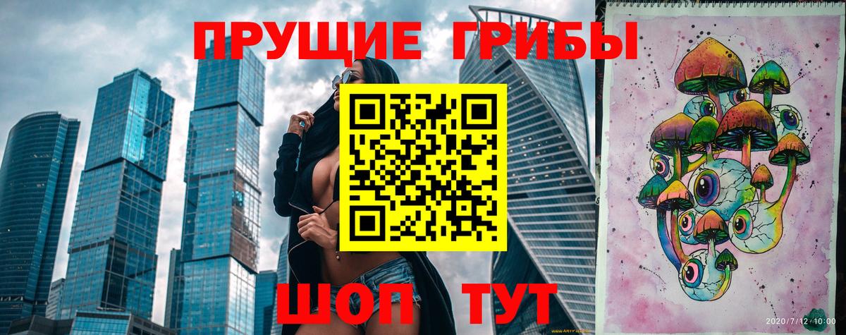 Псилоцибиновые грибы Psilocybe Великий Устюг