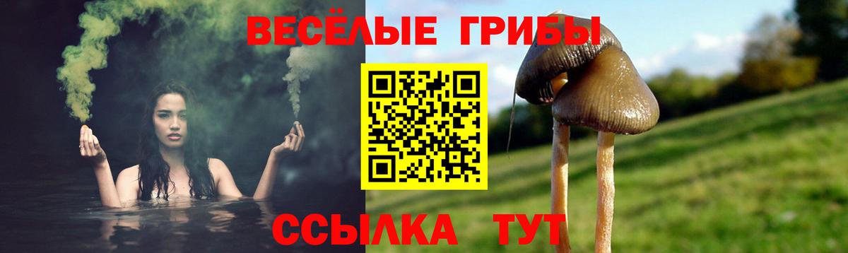 Псилоцибиновые грибы прущие грибы  Галлюциногенные грибы Psilocybine cubensis  Великий Устюг  Вход с VPN 